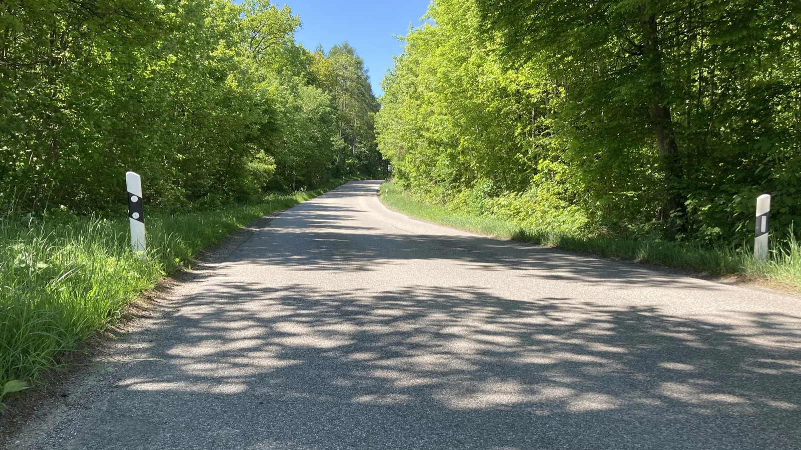 Schattige Waldstraße im Münchner Süden